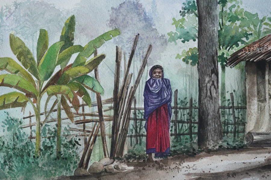 Banana grove